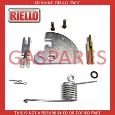 RIello Settore Laurea