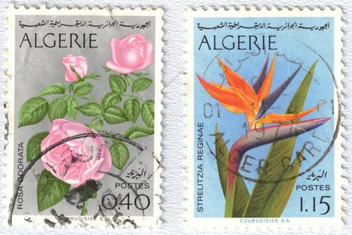 Algeria 1969 fiori - -,