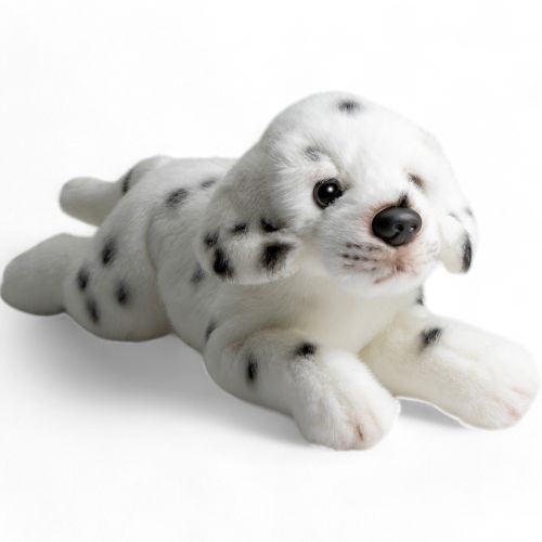 Dalmata sdraiato cane - cane, disteso