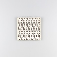 Afra e Tobia Scarpa designers
