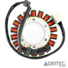 ✅ Alternatore Statore per Triumph Speed Four 600 (2002-2006)