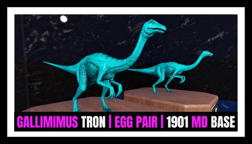 Ark survival ascended pve - ark,
