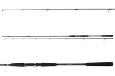 DAIWA SEAHUNTER X SEA TROUT, 3,1m, 10-40g, 2 parti, Canna Pesca, 11533-312
