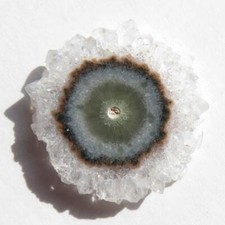 Ciondolo fetta fiore - di,