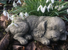 Statua cane Cocker Spaniel