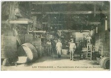 21. N°40821. Vendemmia. Vista