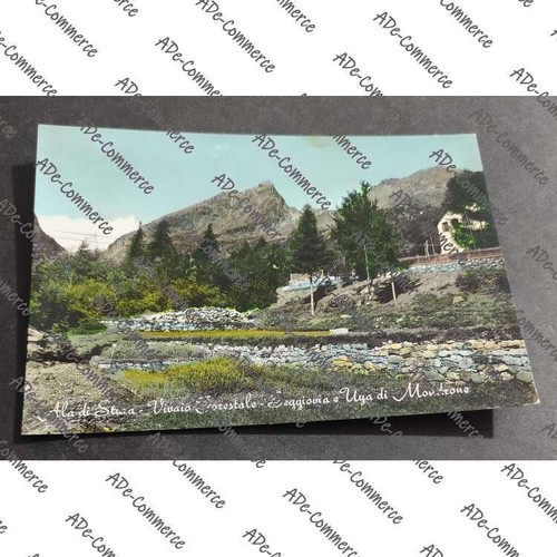 Cartolina ala stura - ala,