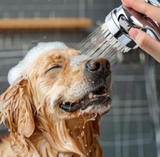 Attacco doccia bagno per - attacco, cani