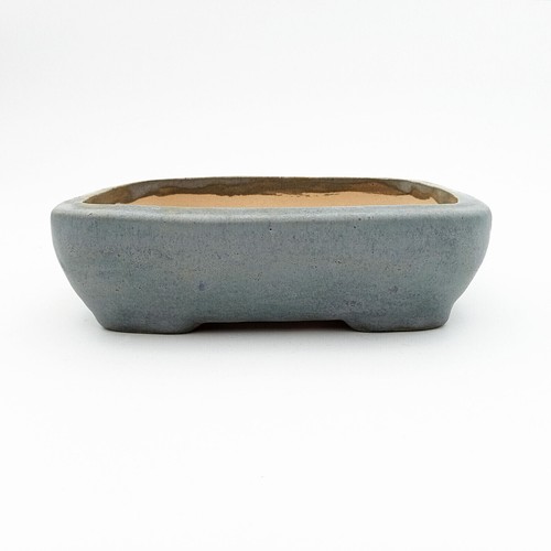Vaso bonsai artigianale