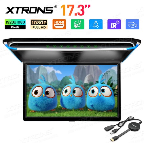 Monitor ribaltabile tetto auto