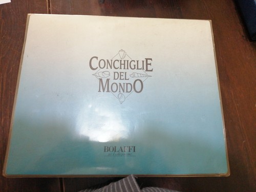 Conchiglie del mondo bolaffi - del,