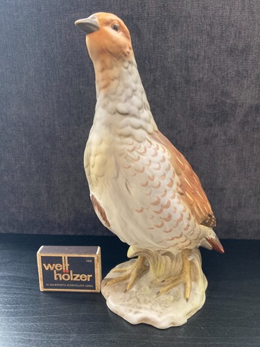 Goebel uccellino pernice