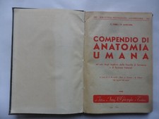 S. Fabbri - R. Marconi