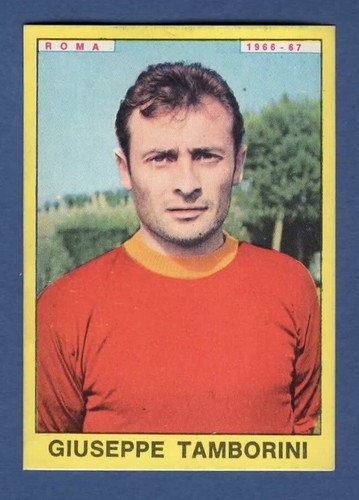 Figurina calciatori panini - figurina,