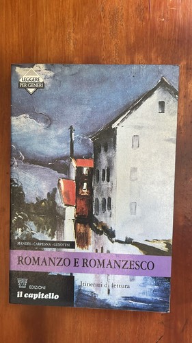 Romanzo romanzesco - e,