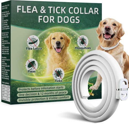 Collare antiparassitario per - collare,