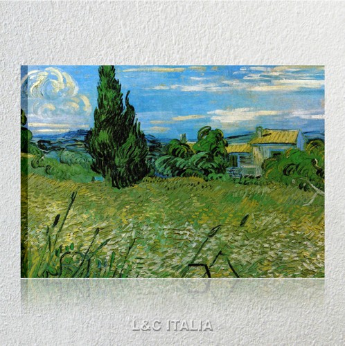 Van gogh campo - van, grano