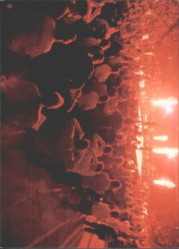 A9045 1999 comic immagini wwf - 1999,