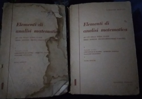 Bencini elementi analisi - bencini,
