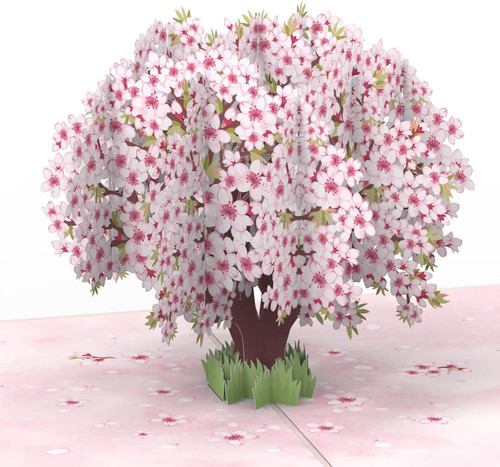 Biglietto pop sakura - pop-up,