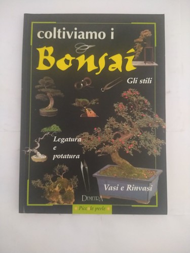 Coltiviamo bonsai piccole - coltiviamo,