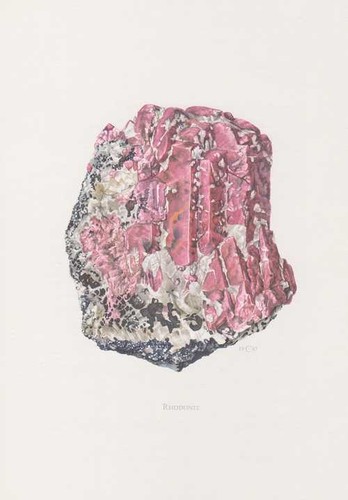 Rodonite pajsbergit stampa - rodonite,