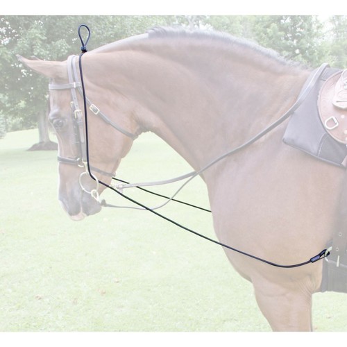 Training elastic reins - reins,