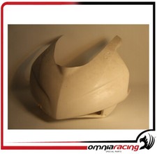 Cupolino per Carena Racing in