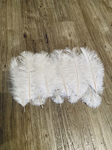 10x ostrich feathers white - feathers,