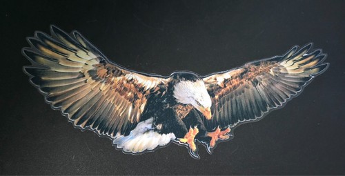 Adesivo sticker aquila - adesivo,