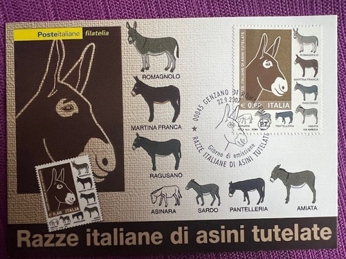 2007 cartolina filatelica - 2007,