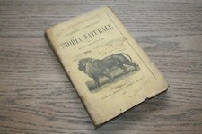 Paride Colucci Nucchelli