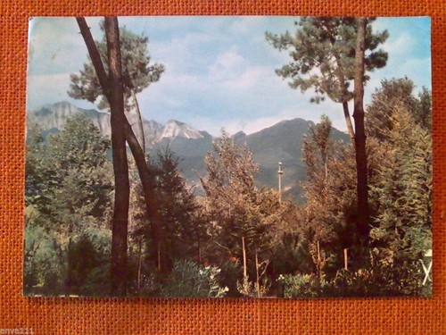 Achille funi per enzo morelli - achille,