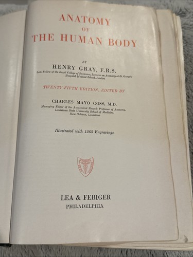 Gray anatomy the human - of,
