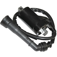 Caltric Ignition Coil for