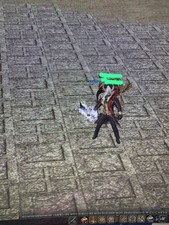 metin 2 italia, war corpo 76 contattatemi prima 