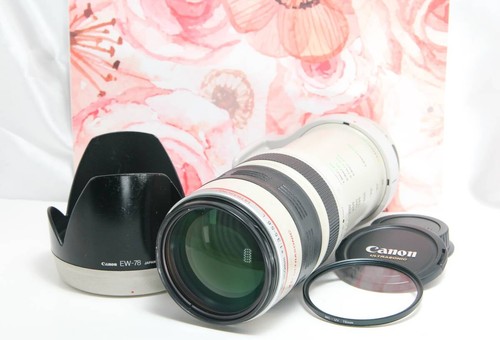 Canon 350 mm obiettivo - 35,