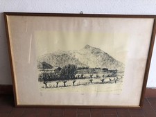 INCISIONE DI ALBERTO ZIVERI