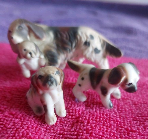 1960 vintage english setter - 1960's,