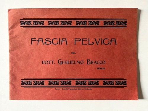 Guglielmo bracco fascia - guglielmo,