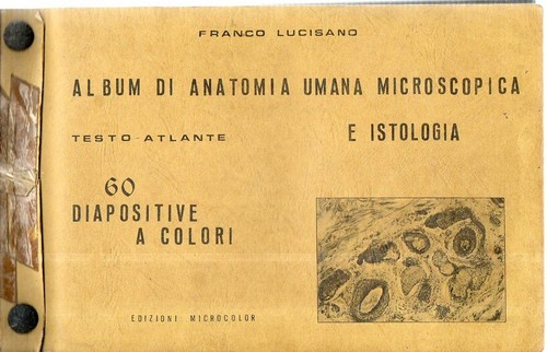 C16 album anatomia umana - c16,