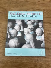 Valerio Berruti: Una sola Moltitudine (Allemandi & C. Torino 2010)