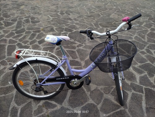 Bicicletta città fhedra - città,
