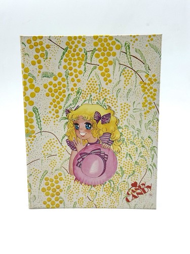 1981 raccoglitore quaderno - 1981#,