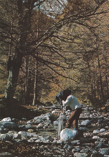 Parco nazionale abruzzo - nazionale,