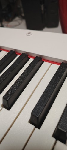 Pianoforte digitale tasti - pianoforte, 88