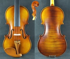 Bel violino studentesco fiamma
