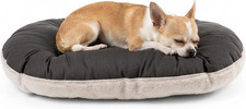 Cuccia per cani gatti molto - cani,