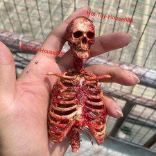Modellino umano scheletro