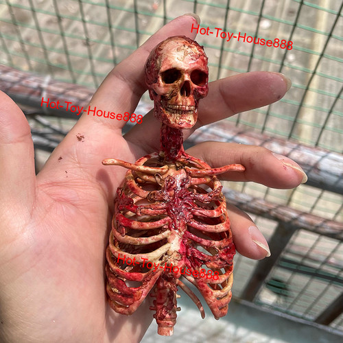Modellino umano scheletro